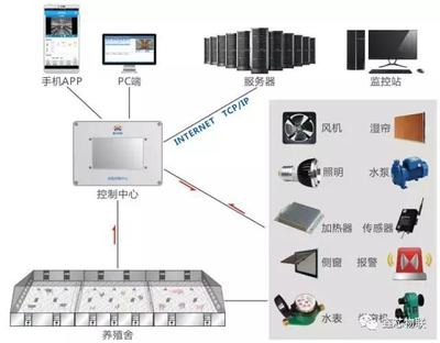 物联网智能畜禽养殖管理系统
